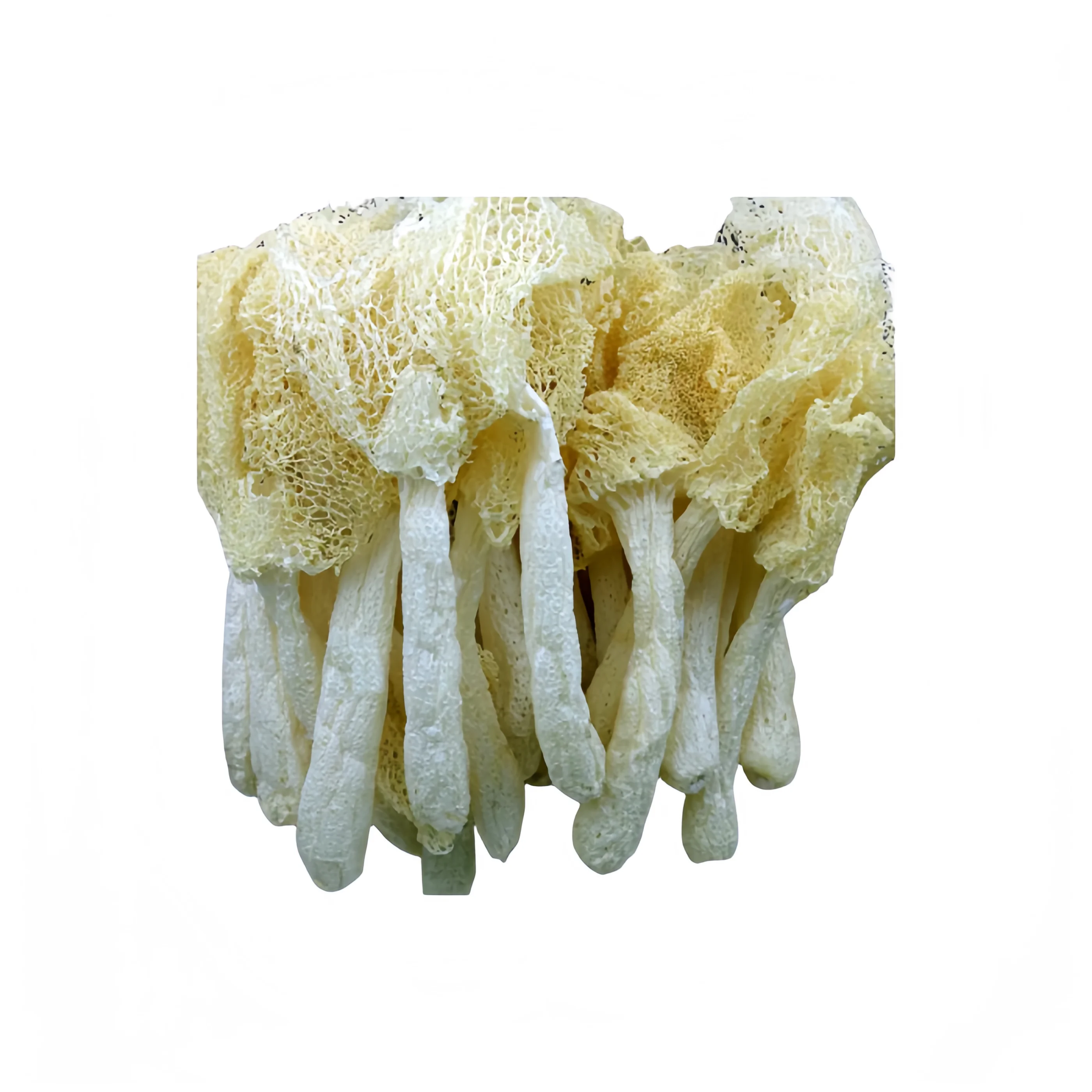 Dried Dictyophora Fungus
