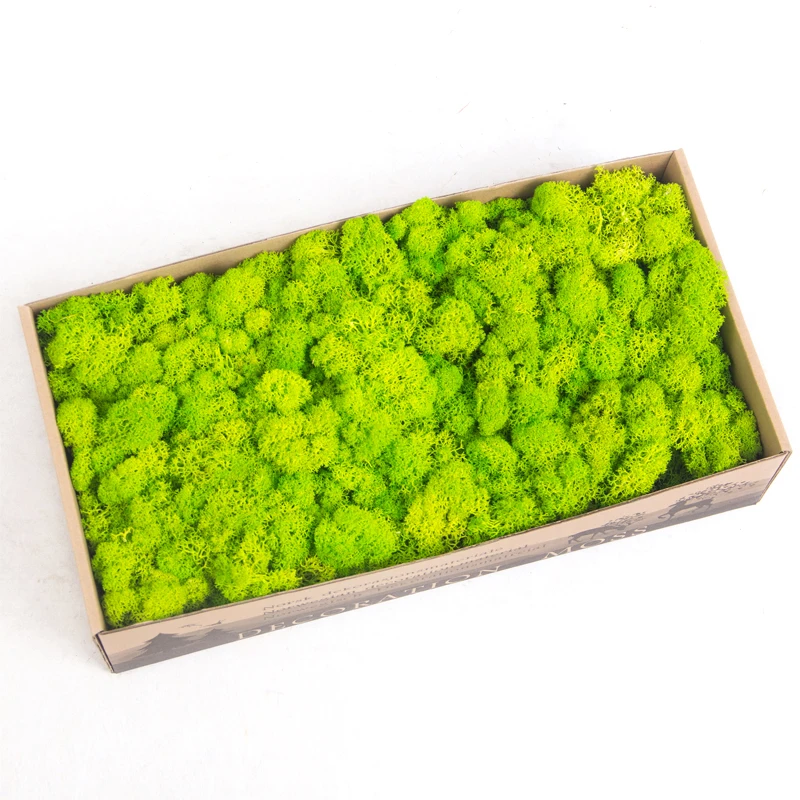 High Quality Preserved Reindeer Artificial Moss Decorative DIY Stabilized Moss For Wall Decoration
