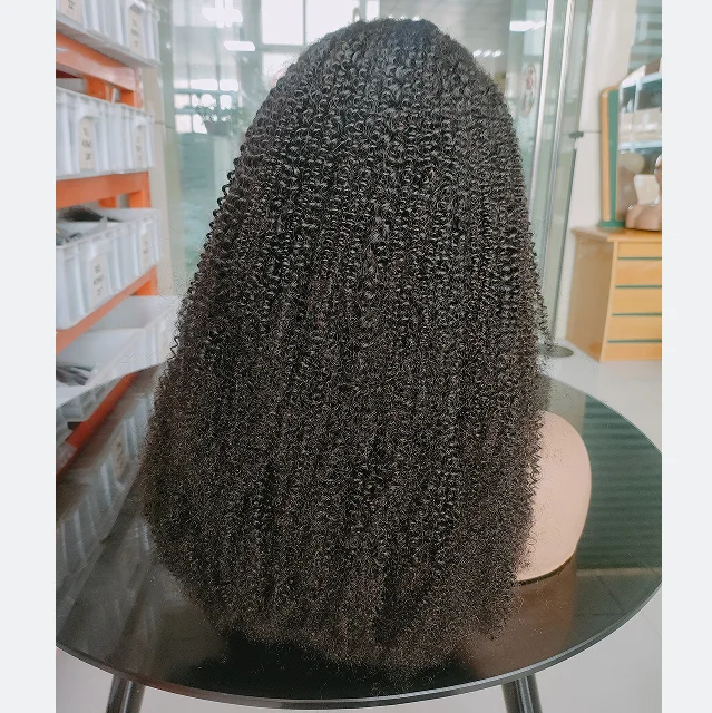 Kinky afro hair wig virgin Brazilian hair 13x4 Lace Transparent HD Glueless Wig afro kinky curly wig human hair