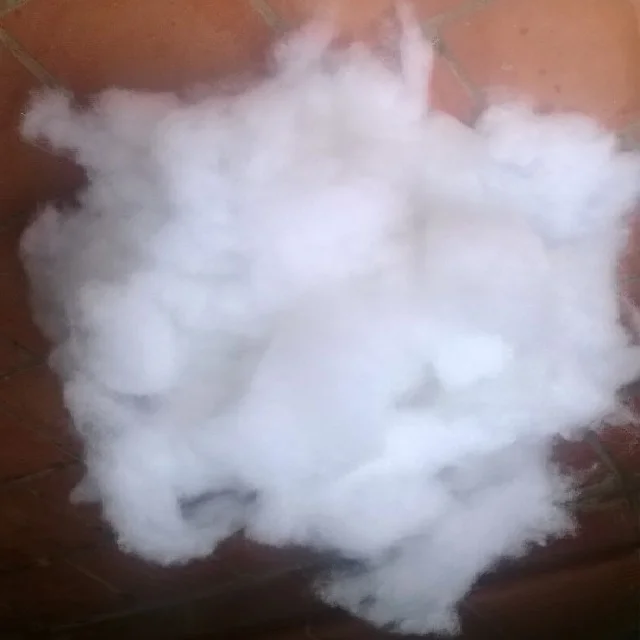 
7D/15DX64MM recycled polyester staple fiber hollow conjugated silicon for filling pillow 