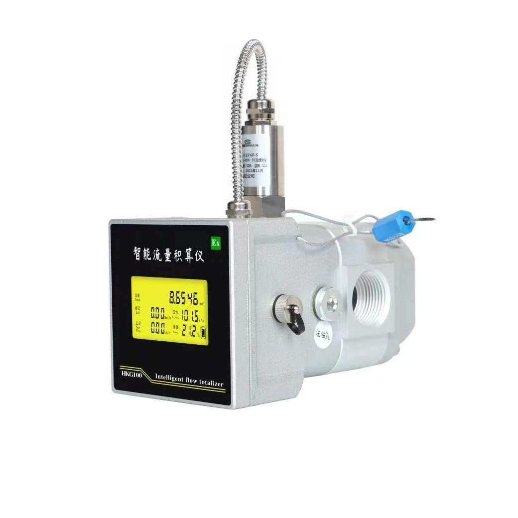 Intelligent small size Gas Flow Meter Roots (waist Wheel) Flowmeter Natural gas compressed air flowmeter