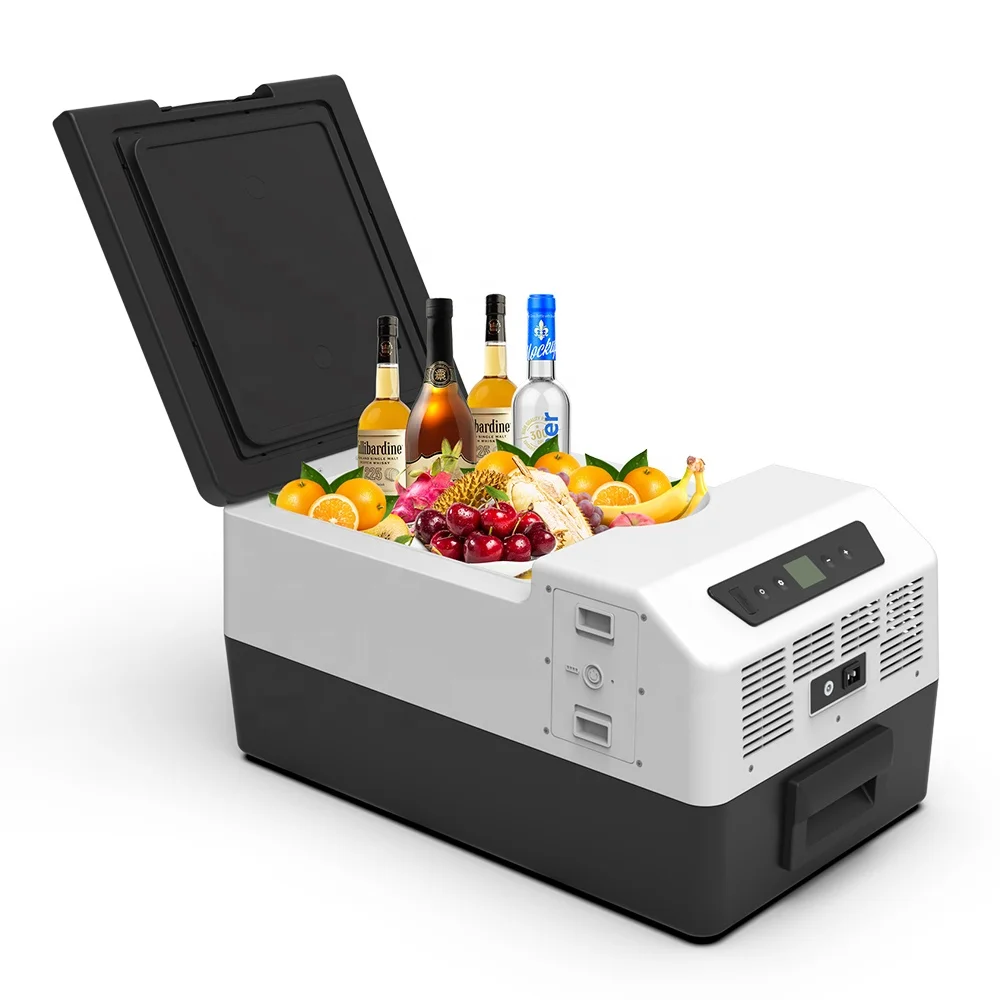 15L Detachable Battery Camping Cooler box 20L Portable Mini Electric  Freezer  Picnic Vaccine Fishing Cooler Box