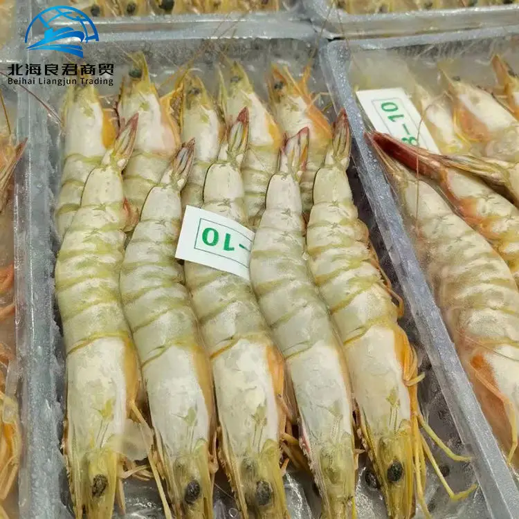 High Quality Factory price wholesale seafood frozen Prawns Export Natural Red Vannamei Shrimps In Size