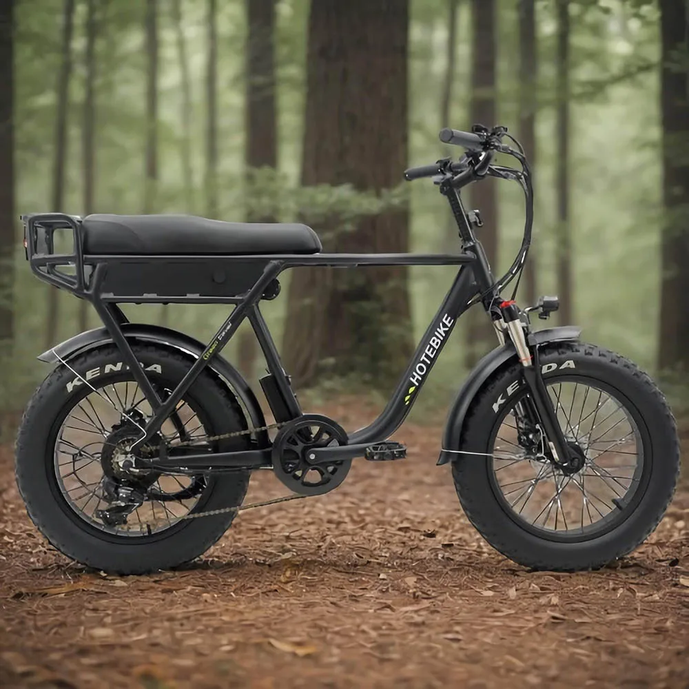 Vintage Electric Bike S733 48V 500W 750W Motor Ebike Offroad & Fat Tire Electric Bike 100km Range Waterproof Electric Bike