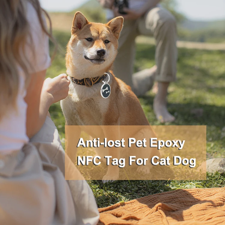  Customized Printing Tag213 Em Metal 213 Tracking Dog Air Smart 13.56Mhz Rfid Nfc Pet Epoxy Hang Tag