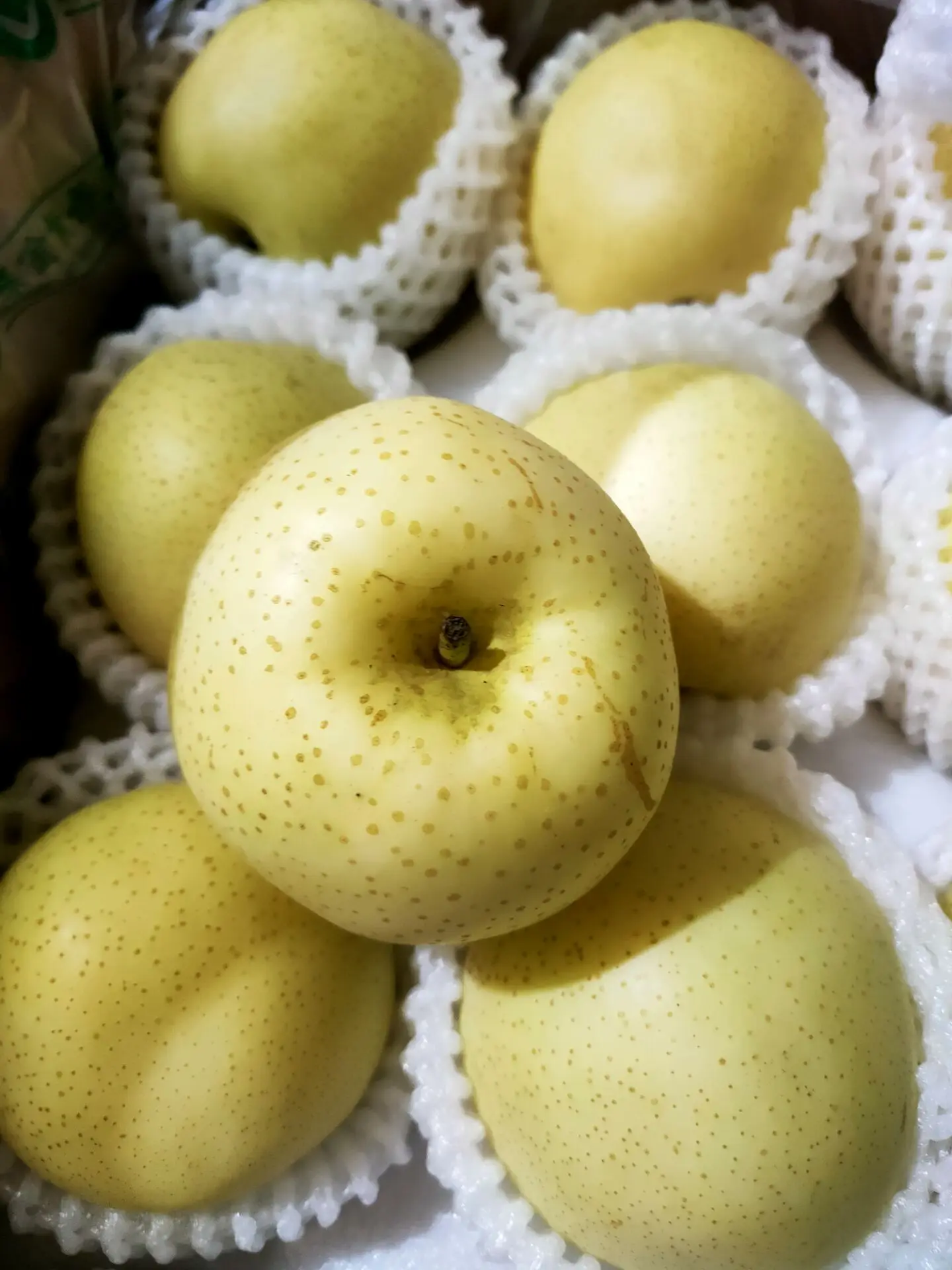 Новый урожай свежих китайских фруктов Золотая груша