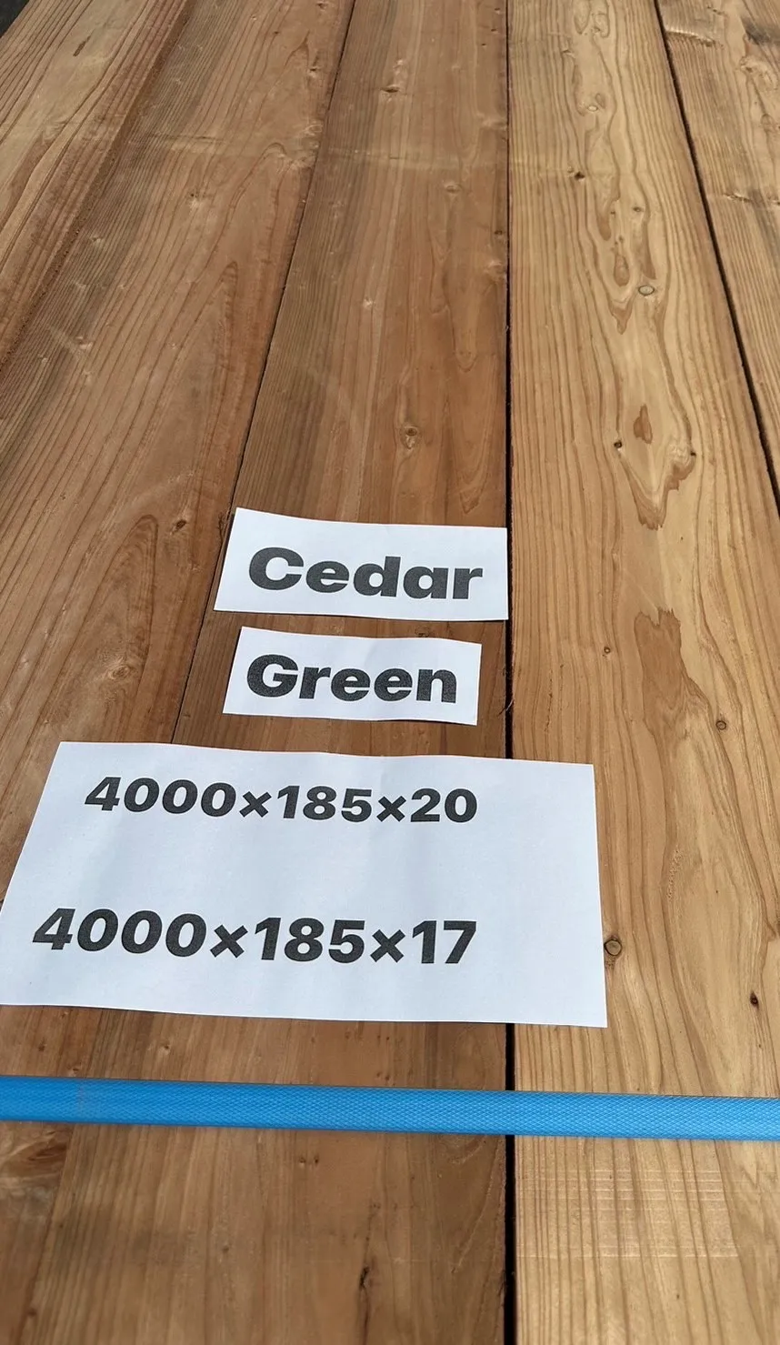 Japanese Green Cedar Lumber Wood for Construction Industrial Design Style Bulk Price Sale