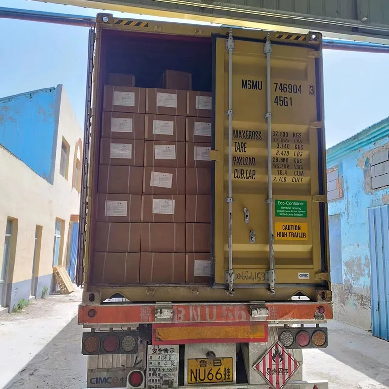 CAS No. 123773 ADC Blowing Agent for EVA