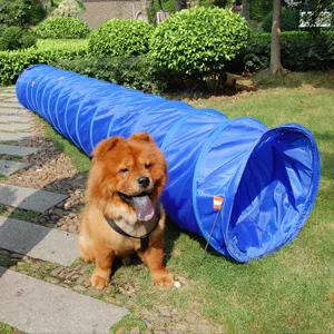 
Cool Runners Tunnel Hugging Non Constricting PVC Dog Agility Tunnel Bag set 