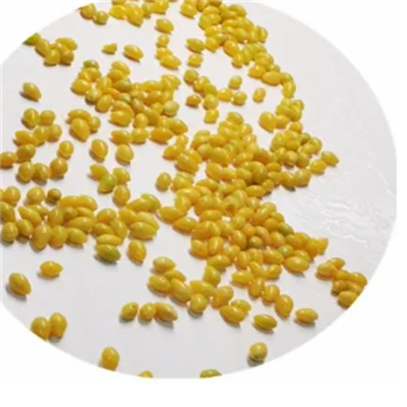 2023 Ginkgo Лучшая цена сушеные качественные орехи Ginkgo OEM упаковка в стиле оболочки сырье натуральные органические семена гинкго