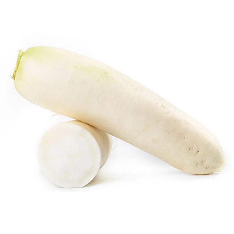 Wholesale price daikon radish vegetable store for supermarket