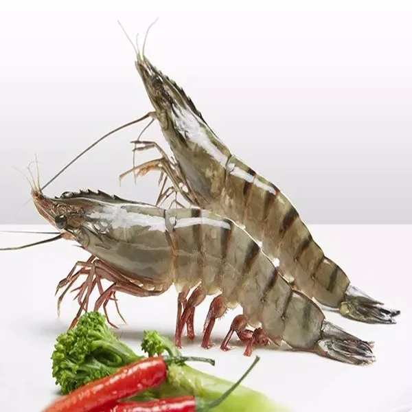 Заводская поставка, пробиотики для рыбных креветок, бензиновые бактерии для системы biofloc