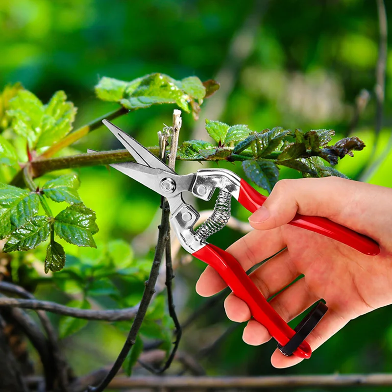 Hot Sale Household Scissors Colorful Scissors Floral Cutter Garden Scissors