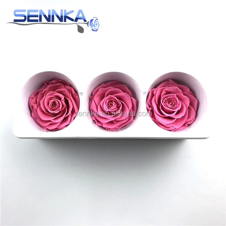 Preserved Real Flowers Natural Fresh Rose head