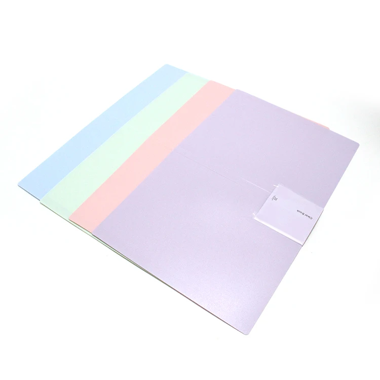 A4 Information Book PP File Folder 10 Pockets Transparent Anti-static Clear Book Morandi For Contract Test Paper