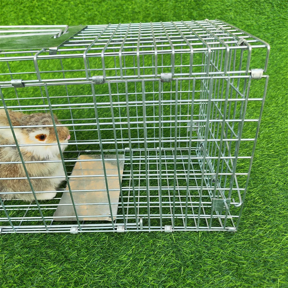 Galvanized metal foldable Live animal trap cages for rabbits cats rat squirrels raccoon