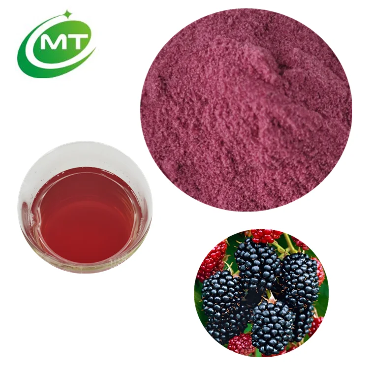 Органический натуральный высушенный в замораживании сухой Rubus fruticosus Blackberry фруктовый экстракт порошок сок для напитков и мороженого