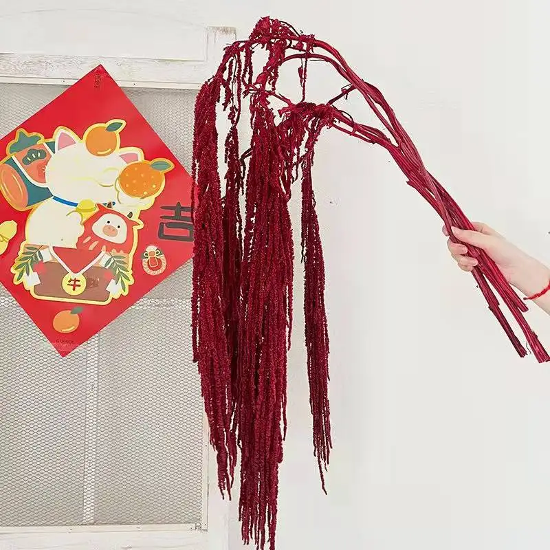 Party Home Garden Decor Indoor Flower Arrangement Eternal Flowers Amaranthus Dried Flowers