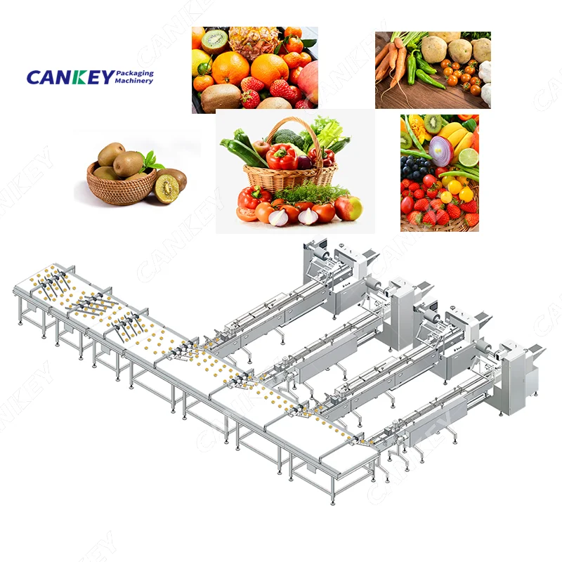 Fresh Vegetable Clean and Packaging Production Line Rotary Pillow Packing Machine Price