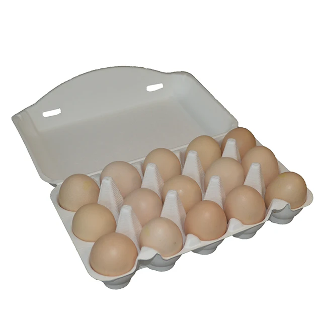 Hot Sale Eco-Friendly Biodegradable Recyclable Egg Cartons Custom Printed Disposable Paper Egg Tray Made Bagasse Sugarcane Food