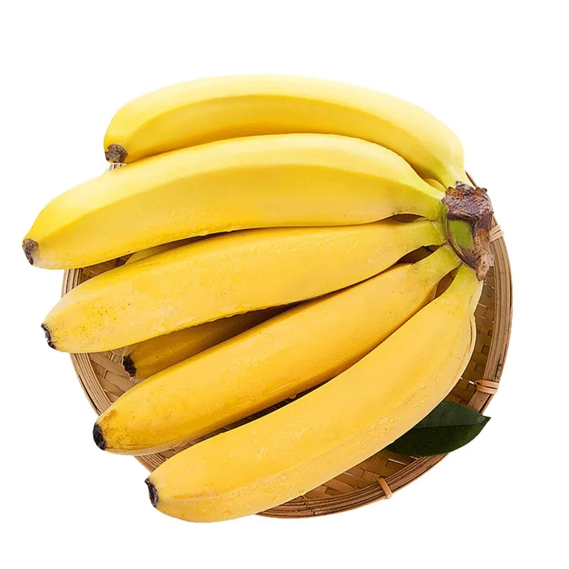 Farming Products Export Premium Natural Fresh Fruit Banana For Sale