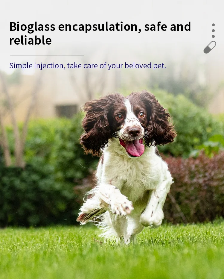 G-102 оптовая продажа стеклянных животных ID тег ISO 11784/11785 RFID имплантат микрочип для домашних