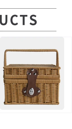plastic picnic basket with lid