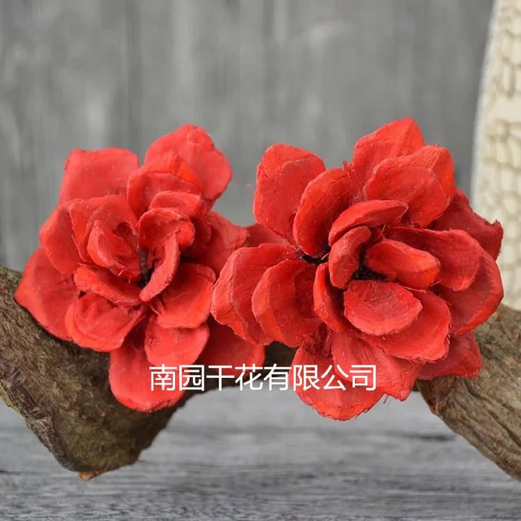 Handmade flowers mini dried flower bouquet materials Drunk the butterfly orchid flower