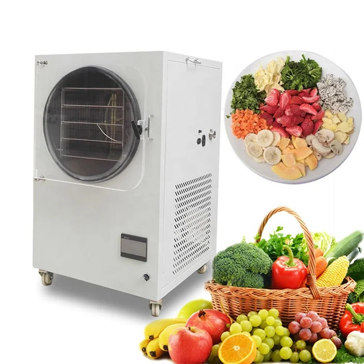 Blueberry Powder Vaccum Freeze Dryer Freeze Dry Machine For Sale