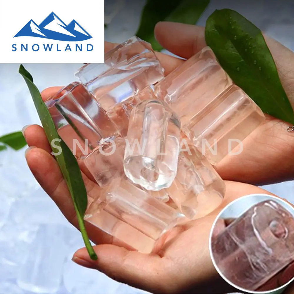 2021 SNOWLAND Tube Ice Making Machine for 15tons/Day for Environmental preservation