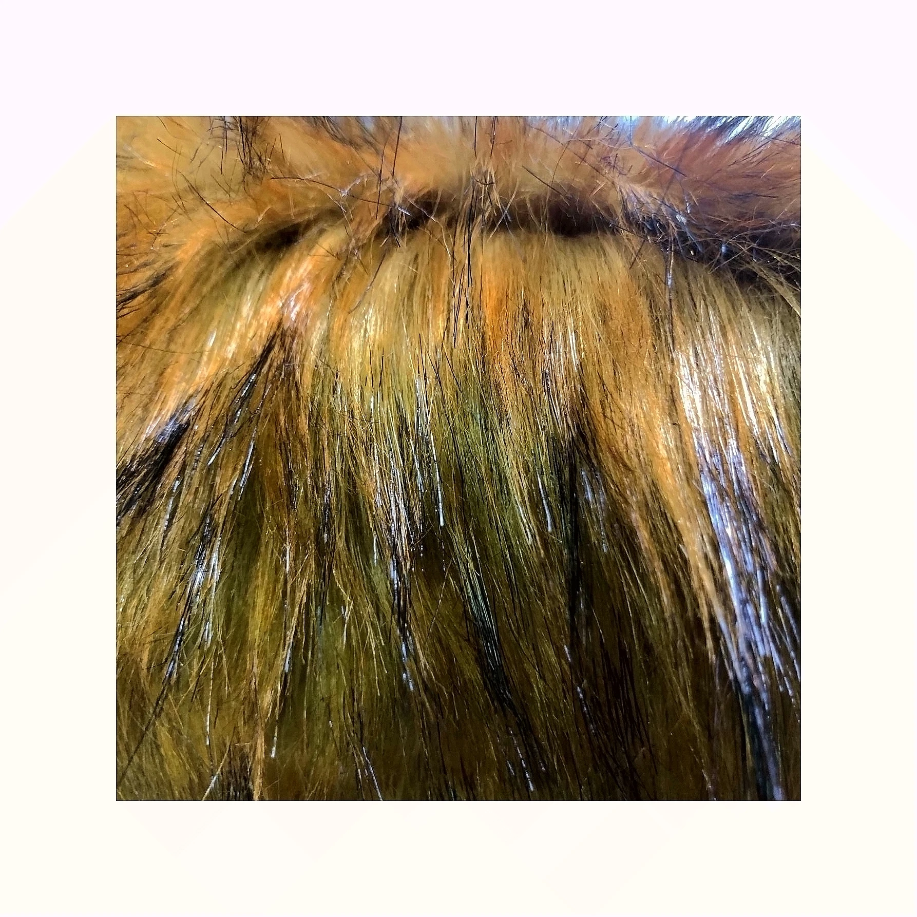 SUPER SOFT  POLYESTER MADE LONG HAIR FUR FABRIC