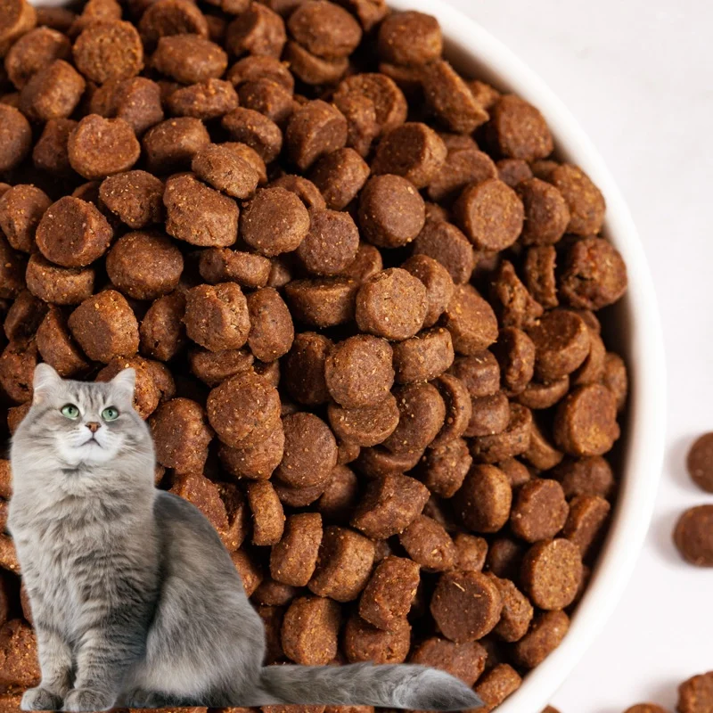 Wholesale Direct Sale Private Label High Protein Grain Free Pet OEM 10kg Pet Food  Bulk Dry Cat Food