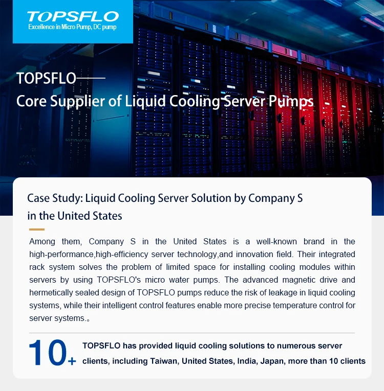 server cooling pump (1)