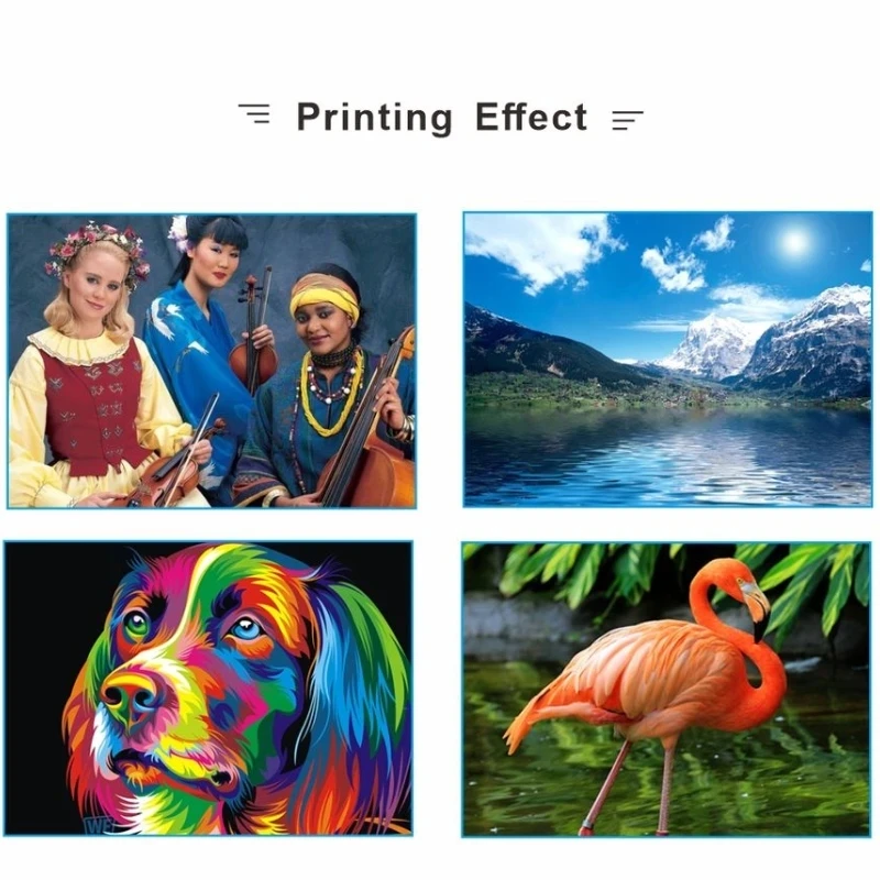 52d4f721f0f80ee990ddb18f6c265d9