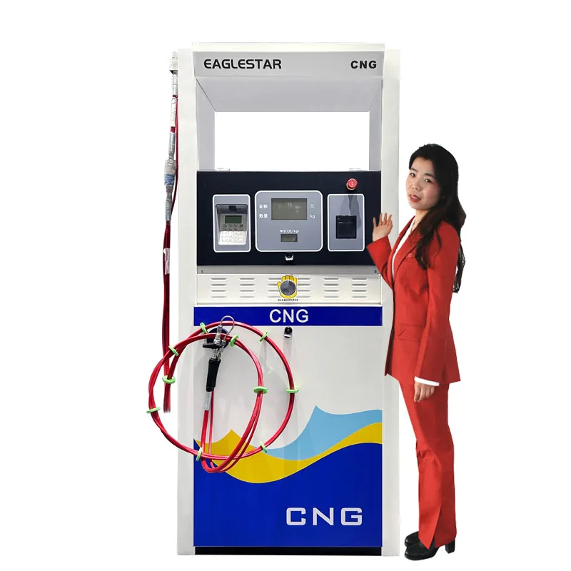Cng Filling Machine Compressed Natural Gas Dispenser Cng Dispenser For Gas Station