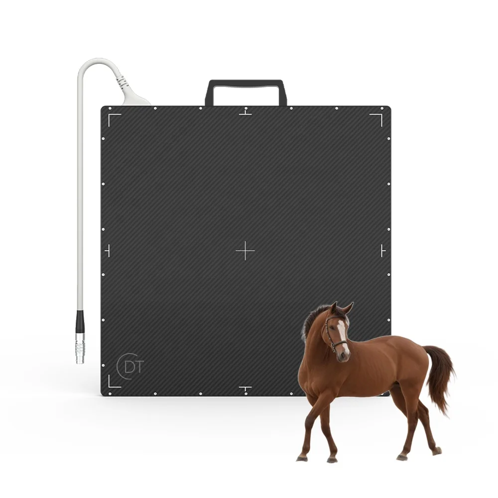 Vet X-ray flat panel detector mobile digital equine veterinary digital radiography X ray machine portable x ray detector horse