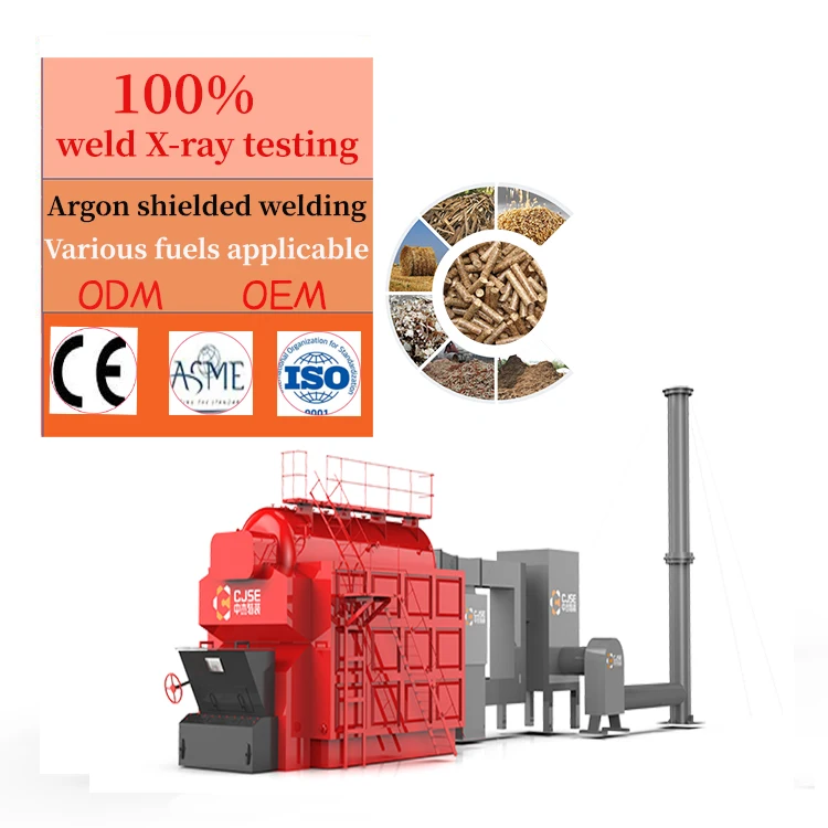 CJSE hot sale biomass fired steam boiler stoker coal steam boiler for rice mill