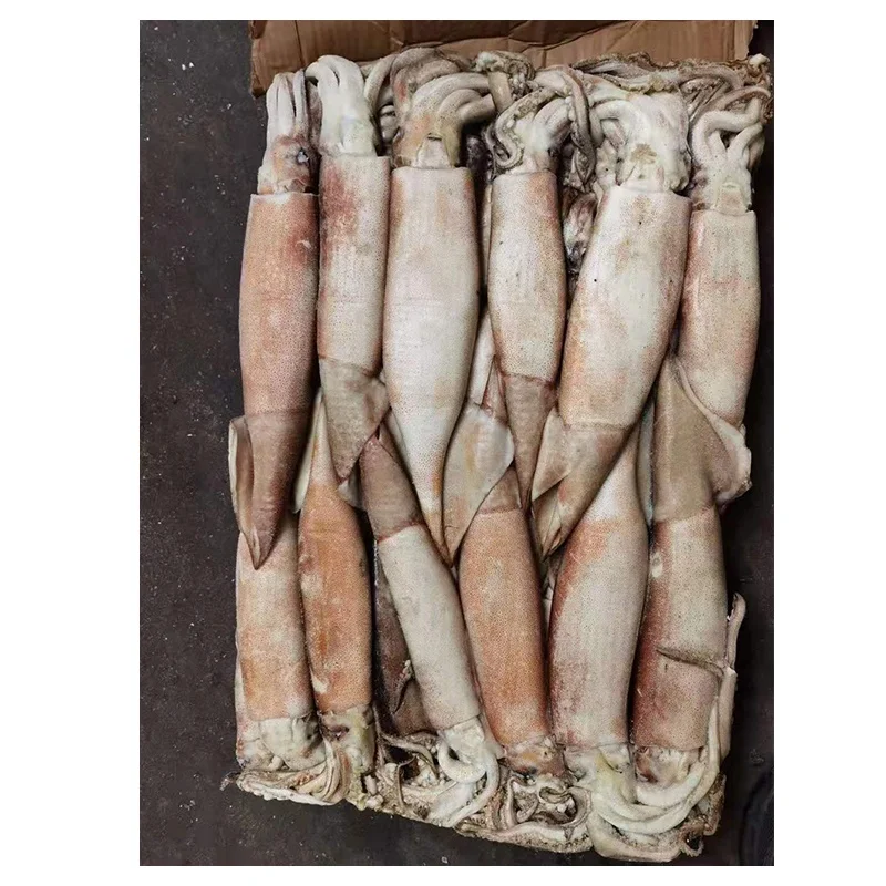 
SENWANG hot sale calamari squid soft fishing tube squid rings dry squid 