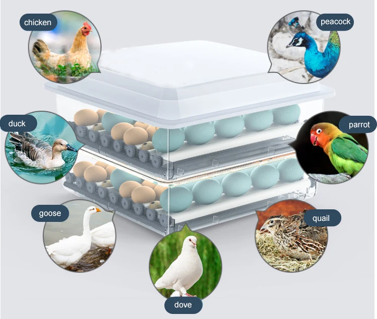 
Wholesale poultry farming equipment fully automatic egg incubator mini chicken 200 500 1000 eggs hatching machine price in nepal 