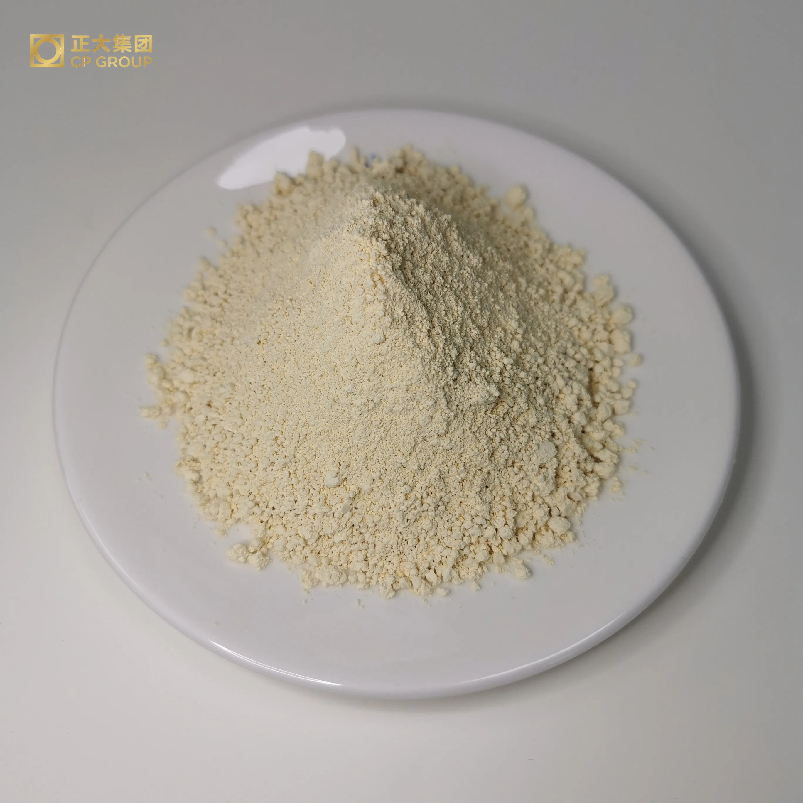 Manufacturer Lactose DSM 95% Natamycin for Juice