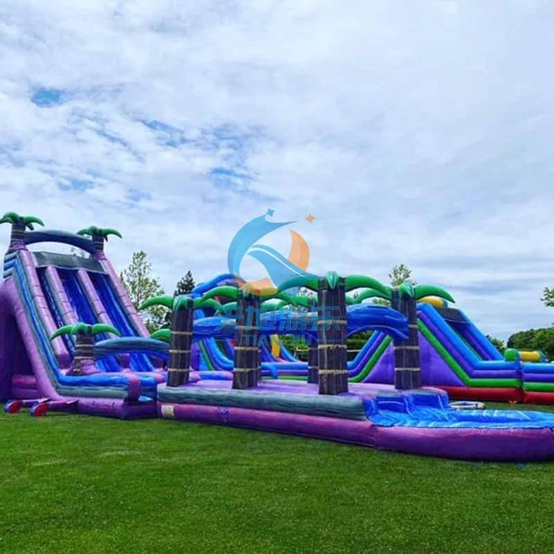 Tropical Purple Lightning Dual Lane Water Slide 30Ft Rapid Crush Plunge Custom Size PVC Indoor/Outdoor Monster Inflatable Pool