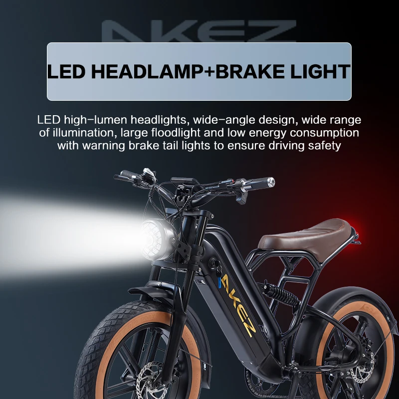 DUNCHI Best Quality Low Price Fat Tire 48v 750W Electric Bicycle E Bike Mountain E Bike Long Range