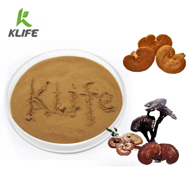 ODM OEM Organic Mushroom Extract Powder Blend coffee Lions Mane cordyceps reishi chaga Mushroom Coffee