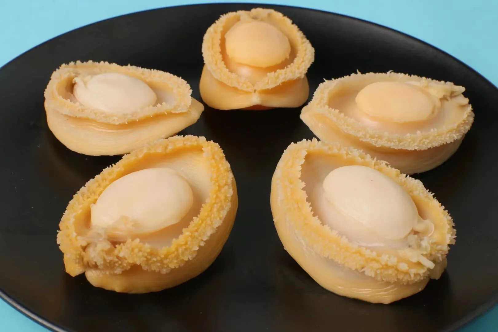 
Frozen cooked abalone in shell gutted and cleaned farmed dired abalone 