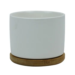 Wholesale Sublimation Blank Coated Custom Succulent Planter Ceramic Flower Planter Pot with Bamboo Tray Desk Flowerpot in Bulk