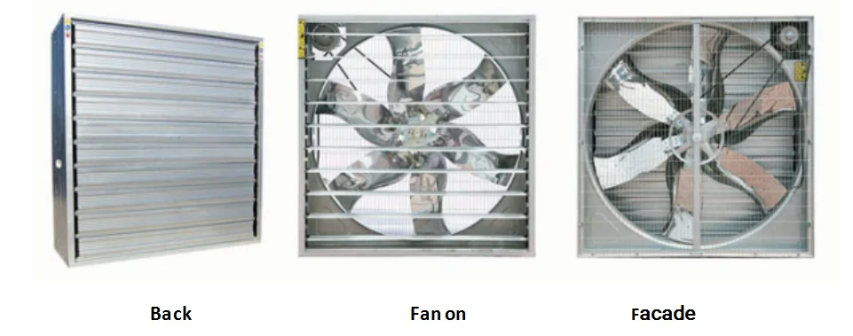 Pad and fan greenhouse cooling system exhaust cooling fan