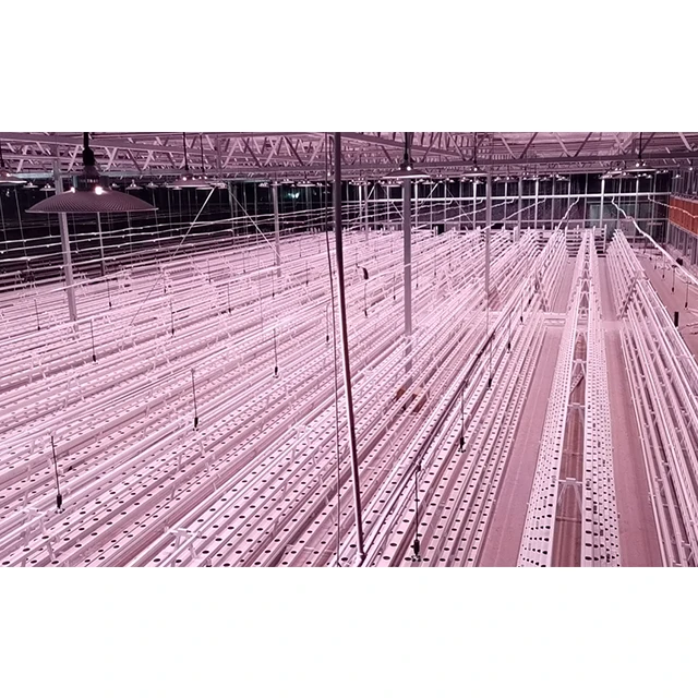 Agricultural Greenhouses NFT Vertical Hydroponic Growth Rack Hydroponic Farm System Water Culture System