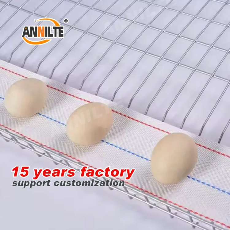 Annilte Egg Collection Belt 100mm 95mm for Chicken Farm