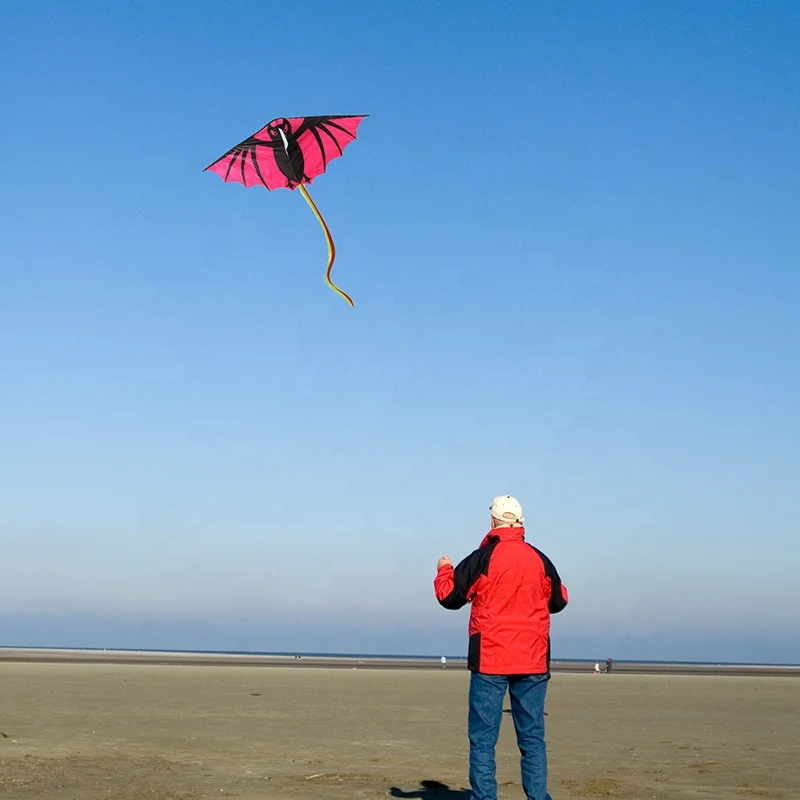 Wholesale cheap durable kids toys fashion bat animal shape kite fancy kite