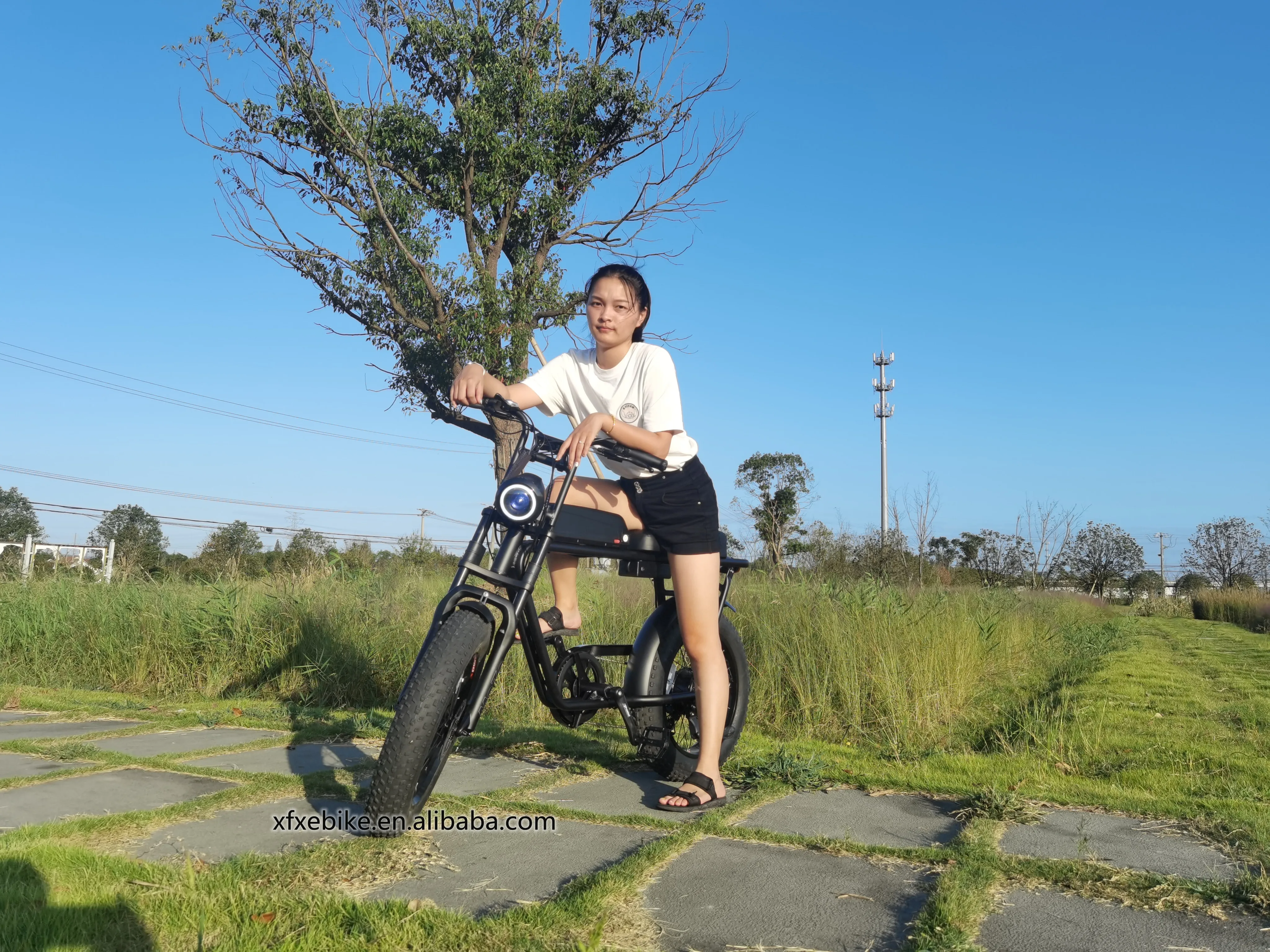 Fast Delivery 20Inch Electric Fat Tire Bike 750W Bafang Rear Motor Snow Beach Super Ebike Electric Bicycles 73